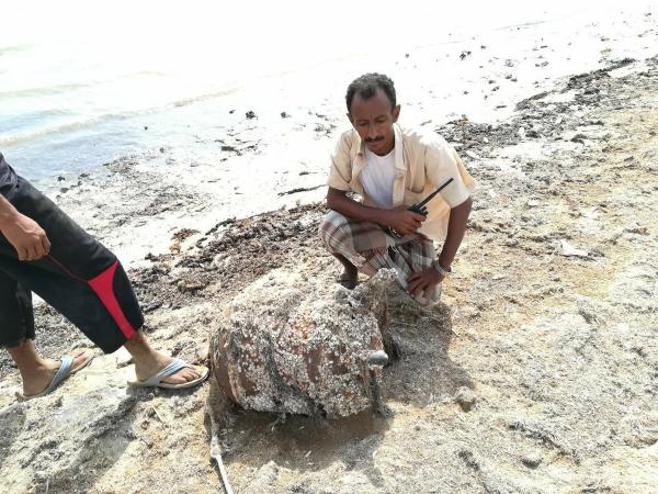 العثور على عبوة بحرية من مخلفات مليشيا الحوثي بالقرب من ميناء الحيمة