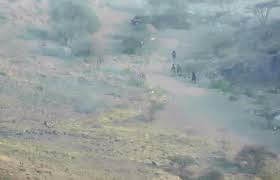 شاهد بالفيديو.. فرار جماعي لميليشيا الحوثي أمام الجيش الوطني في نهم
