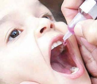 تحصين 114 الف طفل وطفلة ضد شلل الاطفال بعدن