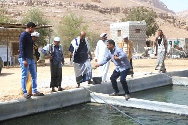 تحتوي اكثر من ظ¤ظ ظ  ألف سمكة : أول مشروع استزراع سمكي بوادي حضرموت.. تفاصيل
