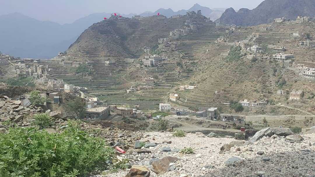 مقتل 4 فتيات دفعة واحدة على أيدي المليشيا في حجة (صورة وتفاصيل)