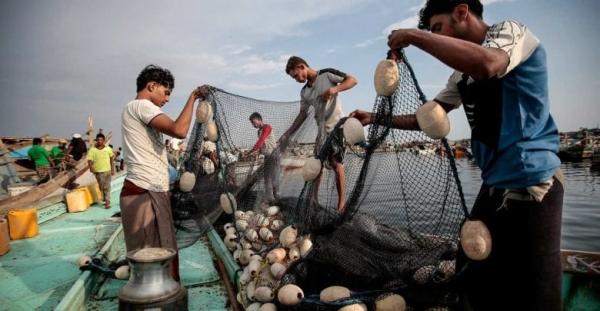 3.5 مليون دولار دعم ياباني للصيادين في اليمن