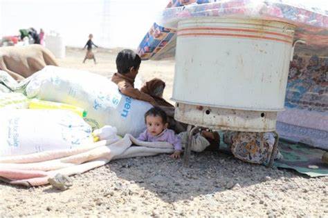 مليشيات الحوثي تهجر أكثر من «93» ألف مدني من مديريات مأرب خلال شهرين