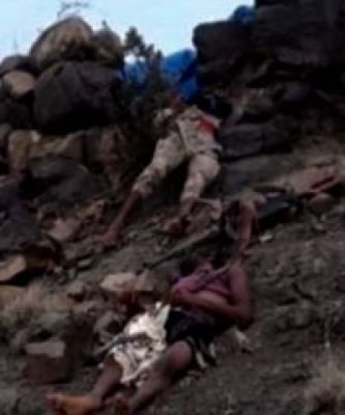 شاهد بالصور .. جثث قتلى مليشيا الحوثي متناثرة في التلال والجبال بالضالع ..«تفاصيل»