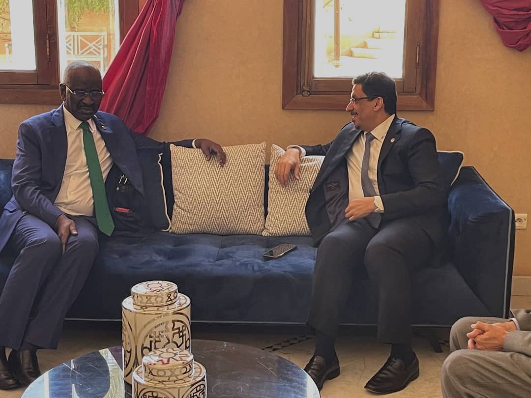 وزير الخارجية يبحث مع نظيره الموريتاني تعزيز علاقات البلدين الشقيقين