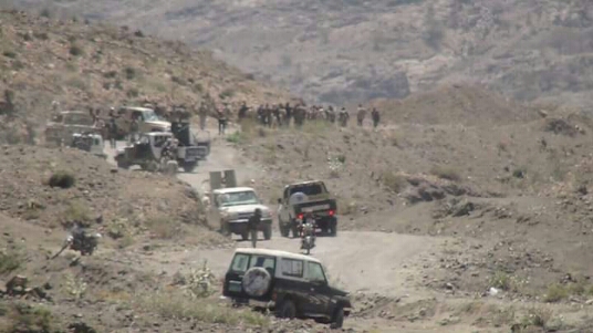 العربية نت: عملية هجومية نوعية للجيش اليمني شمال الضالع