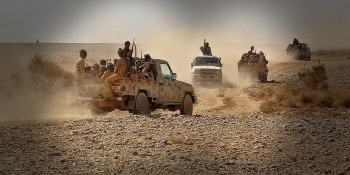 مصرع 100 حوثي في هجوم مضاد لقوات الجيش والقبائل في جبهات مارب