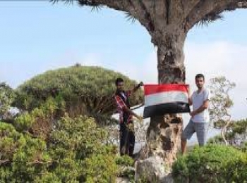 مشائخ ووجهاء "مومي" في سقطرى يصدرون بيان تأييد للشرعية اليمنية