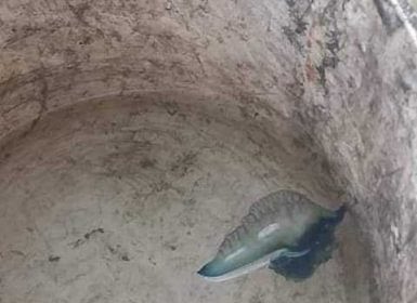 قوات خفر السواحل بحضرموت تحذر من السباحة في الشواطئ.. تفاصيل