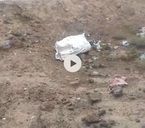 بالفيديو.. العثور على جثة طفل بداخل كيس في صنعاء